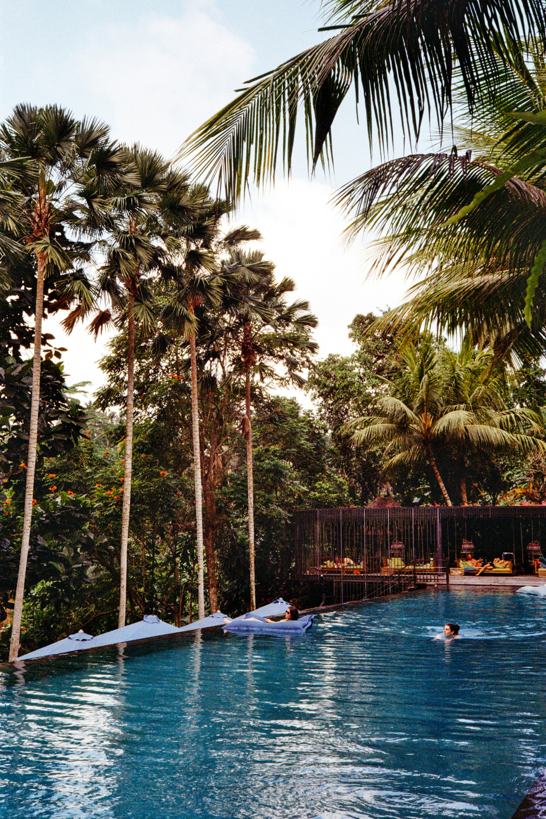 Guests relaxing in an infinity pool surrounded by lush tropical forest